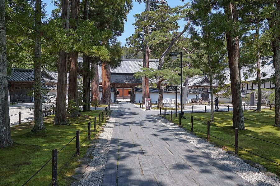 Path with tall cedars leading to Zuiganji temple in Matsushima