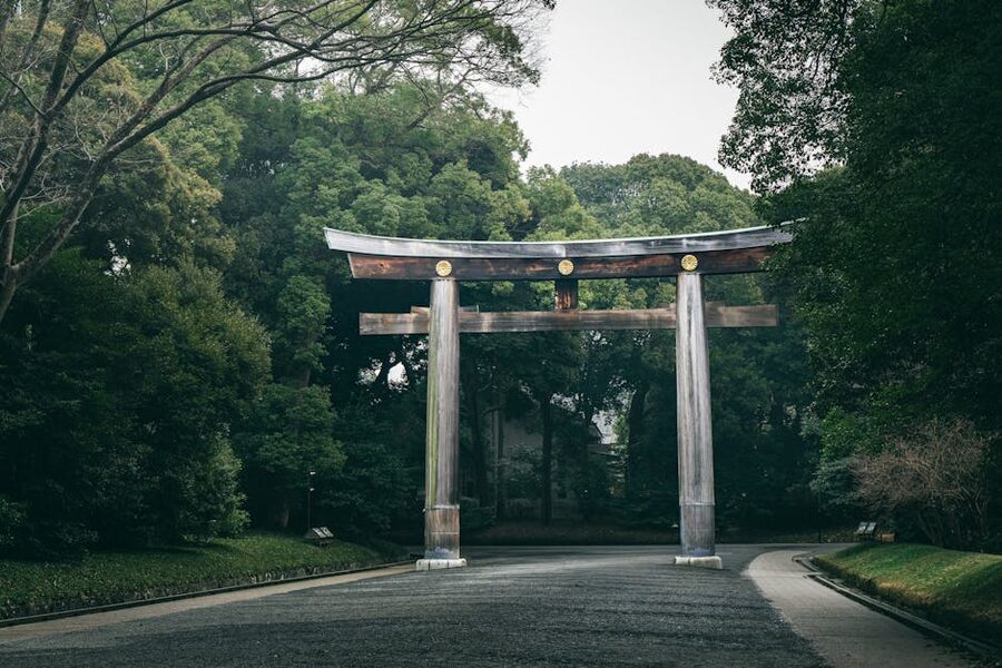 Meiji Jingu torii gate among trees