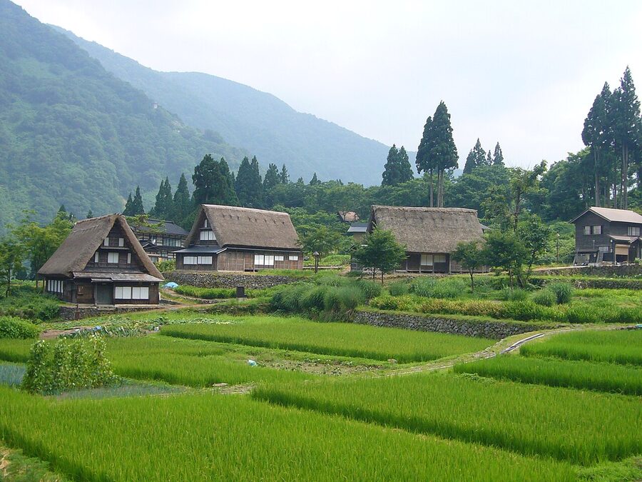 Classic Ainokura village panorama showing gassho-zukuri farmhouses against forested hillside