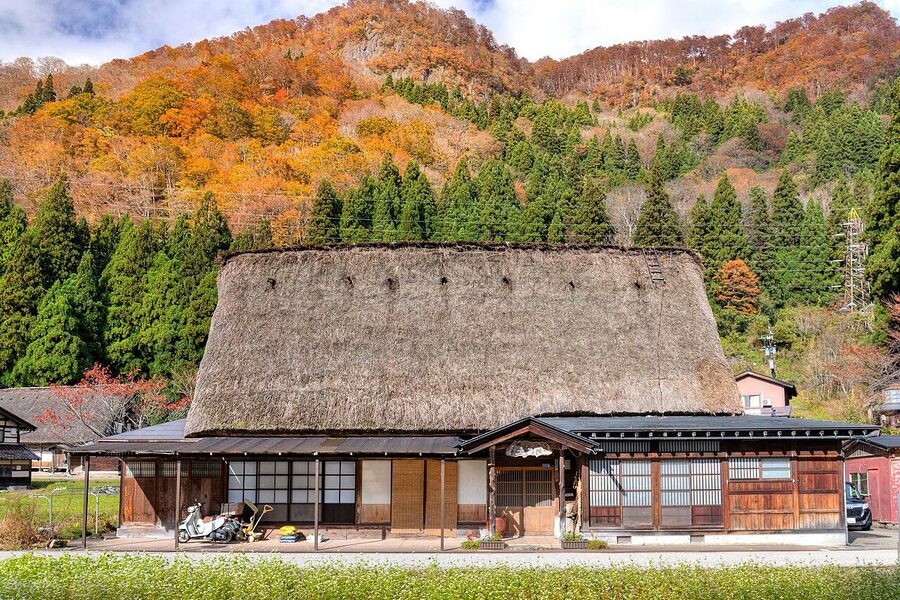Ainokura village rice paddy in autumn with gassho-zukuri farmhouses behind and forested hills