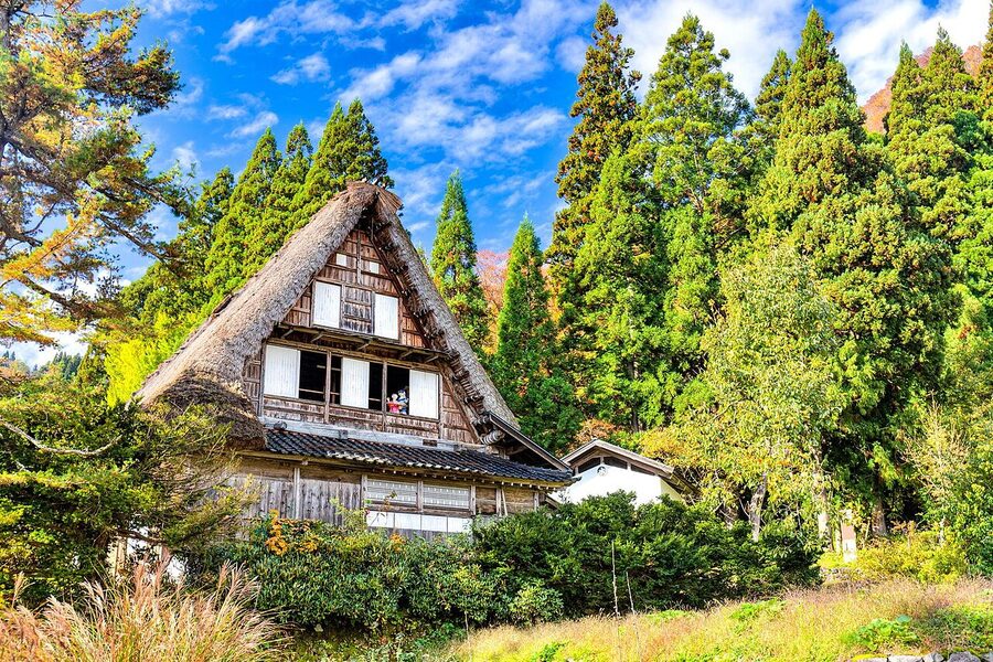 Ainokura village panorama in Gokayama, Toyama Prefecture, with gassho-zukuri farmhouses among trees