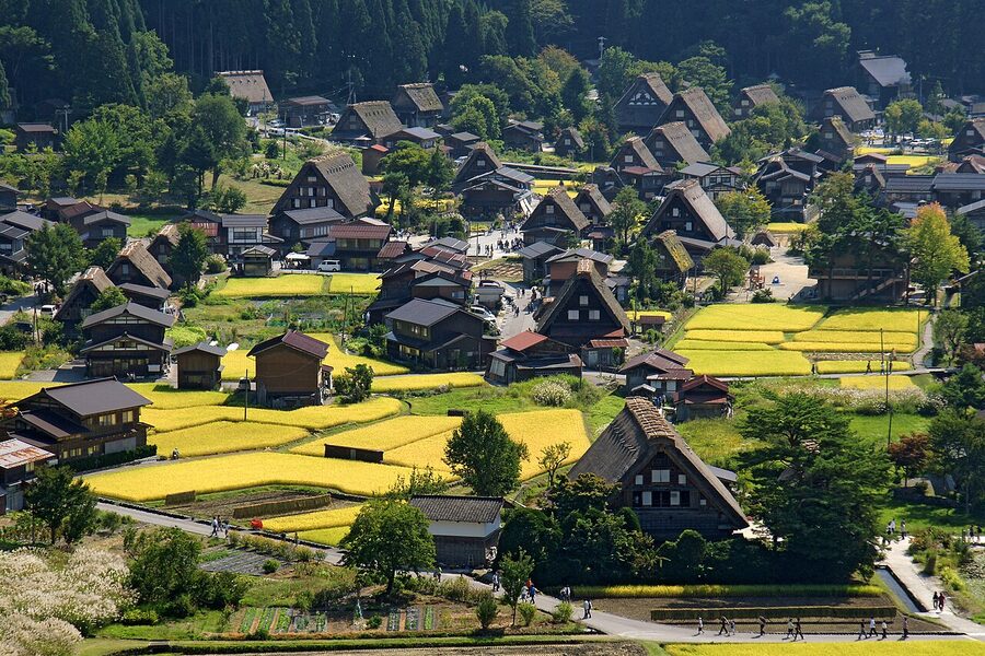 Wide view of Ogimachi village in Shirakawa-go, Gifu Prefecture, with gassho-zukuri farmhouses and rice paddies