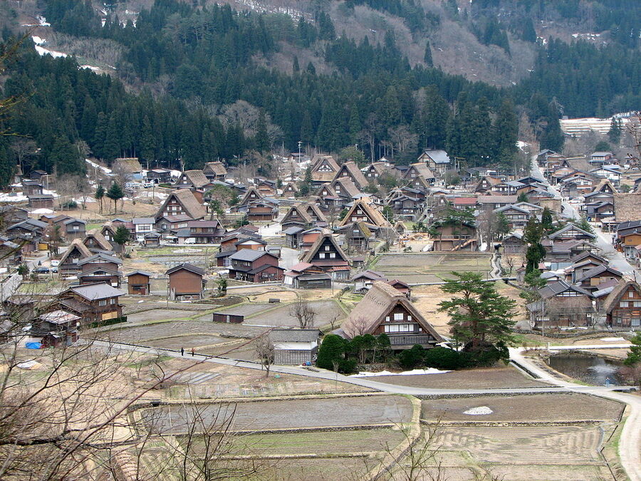 Street view in Ogimachi village showing rows of gassho-zukuri farmhouses with thatched roofs