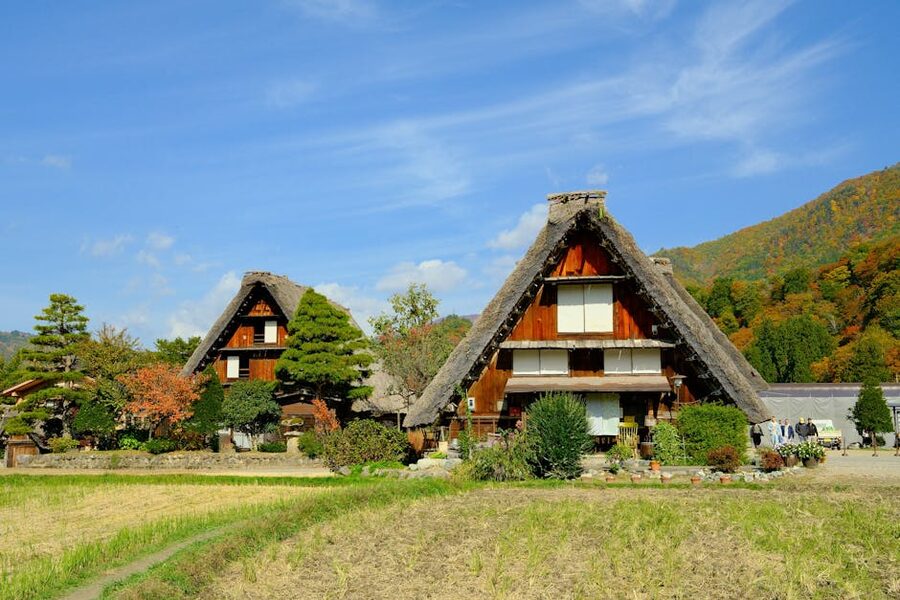Shirakawa-go gassho-zukuri farmhouses surrounded by autumn foliage in late October