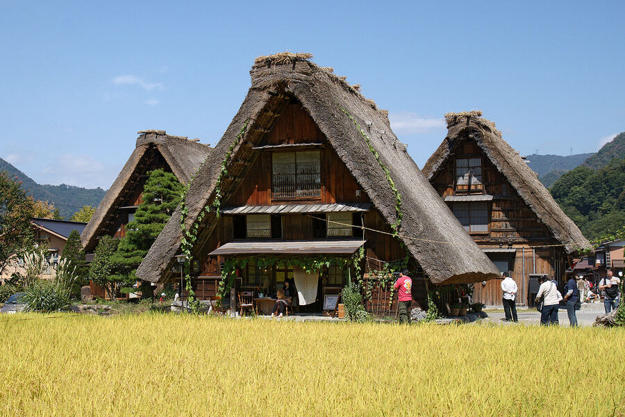 Classic line of gassho-zukuri roofs at Shirakawa-go in summer with green rice paddies