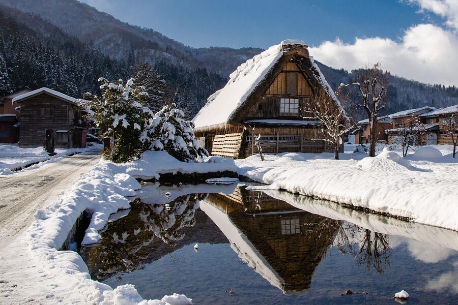 Shirakawa-go gassho-zukuri farmhouses in summer with bright green rice paddies