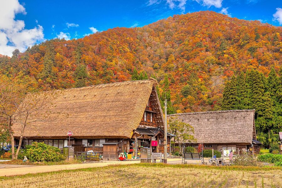 Lane in Suganuma village between traditional gassho-zukuri farmhouses