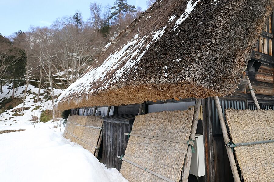 Yuki-gakoi snow protection bamboo fences around traditional Japanese garden plants