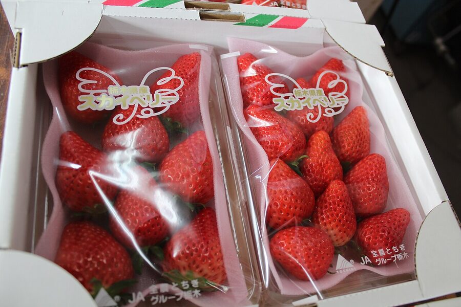 Skyberry strawberry from Tochigi prefecture, a premium-tier cultivar
