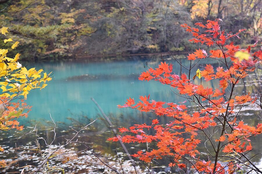 Goshikinuma five-coloured ponds with autumn forest reflections, Fukushima