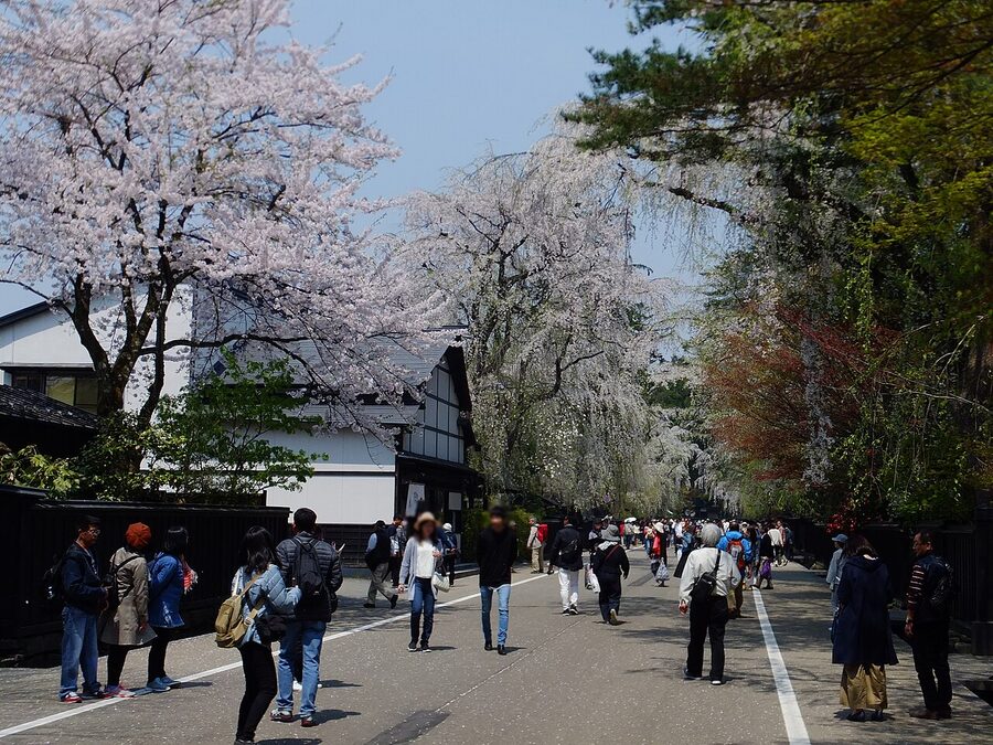 Black wooden samurai house walls and weeping cherry trees in Kakunodate, Akita