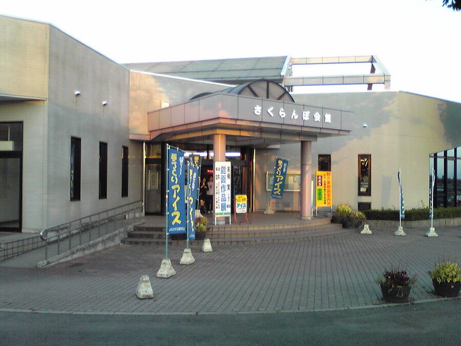 Yamagata sakuranbo Sato-Nishiki cherry display, Sagae