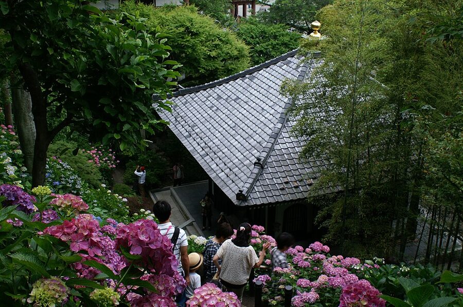 Hydrangea path at Hasedera temple in June