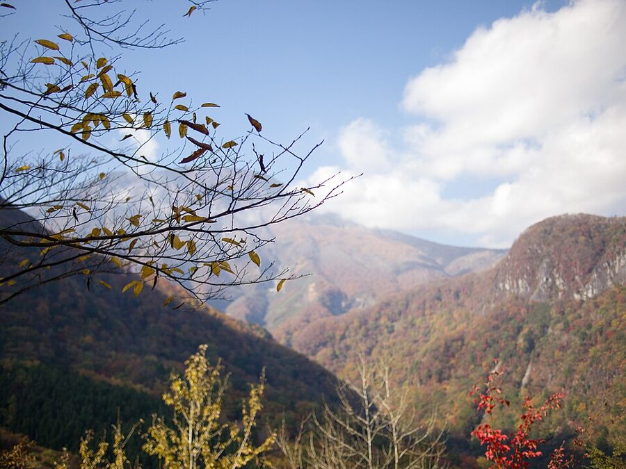Iroha-zaka switchback road in autumn colour