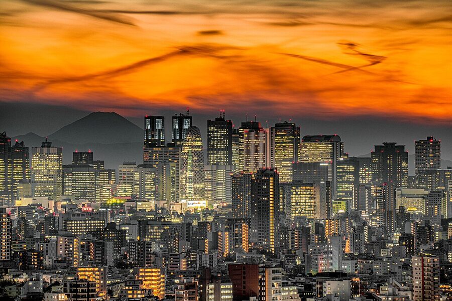 Tokyo skyline panoramic view