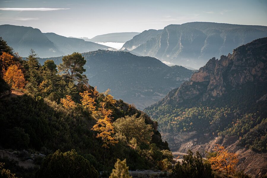 Autumn colour across a Northern Alps gorge with peaks above