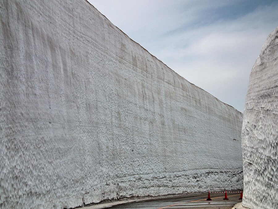 Visitors walking the Yuki-no-Otani snow corridor with 17-metre snow walls