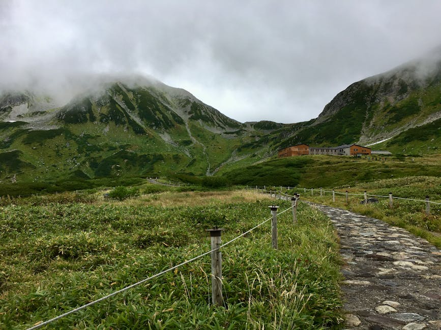 Murodo plateau mountain huts and summer alpine vegetation in the Northern Alps