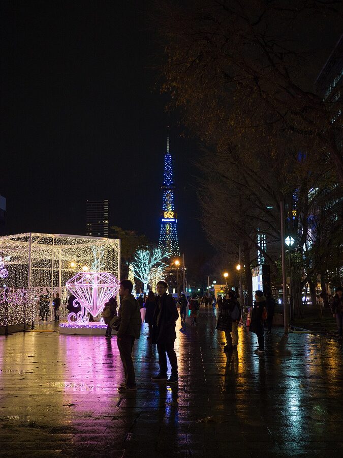 Sapporo White Illumination lights along Odori Park at night