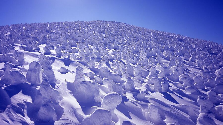 Snow monsters at Zao Onsen Ski Resort with the ropeway visible